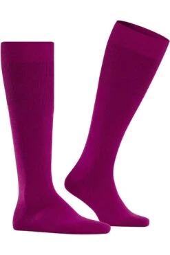 FALKE Airport Kniestrümpfe Beere, Einfarbig -Kleidung Angebote 15435 8233 3 800 1200x1200