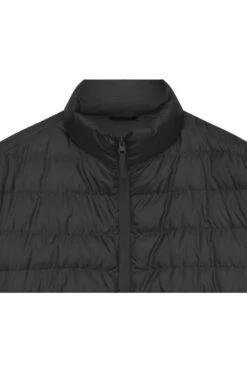 Seidensticker Herren DaunenjackeStehkragen Schwarz -Kleidung Angebote 154810 39 3 800 1200x1200