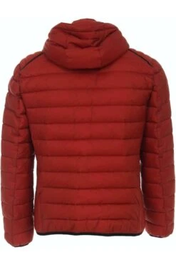 Casa Moda Herren JackeKapuze Orange/grau -Kleidung Angebote 523914000 491 6 800qqwppcj9OBHfM 1200x1200