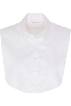 ETERNA Modern Classic Bluseweiss, Einfarbig -Kleidung Angebote 5585 A766 00 6 800 1200x1200