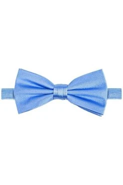 Michaelis Fliege Aus Seideblau, Gestreift