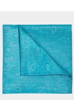 Michaelis Einstecktuchblau, Paisley